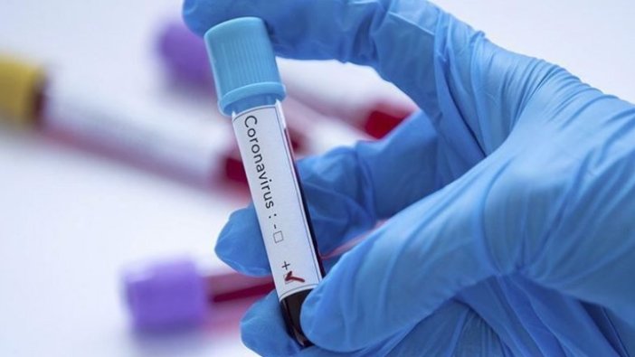 Güney Afrika'da ilk yeni tip koronavirüs vakası tespit edildi
