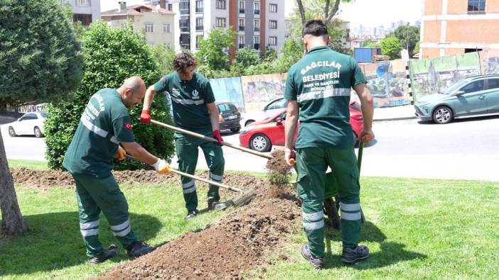 Bağcılar Belediyesi'nden kahve posası geri dönüşümü: Ayda 1 ton posa, çiçek ve ağaçları besliyor