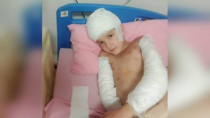 Ankara'da sahipsiz köpek saldırısı davasında 2 belediye görevlisine beraat