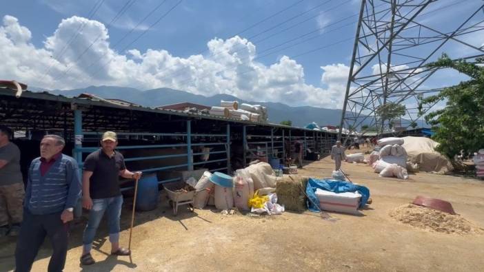 Bursa'da besicilerden CHP'li Öztürk'e kurban pazarı şikayeti: 'Diyanet hisse fiyatıyla hayvan yok'