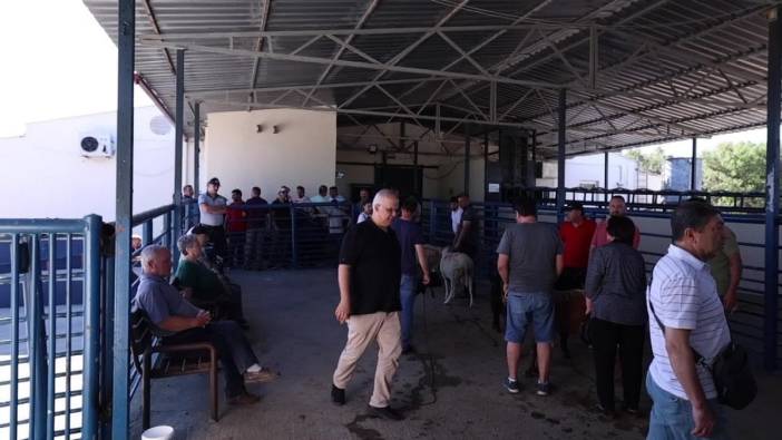 Muğla Büyükşehir Belediyesi, Kurban Bayramı için 5 mezbahada hazırlıklarını tamamladı