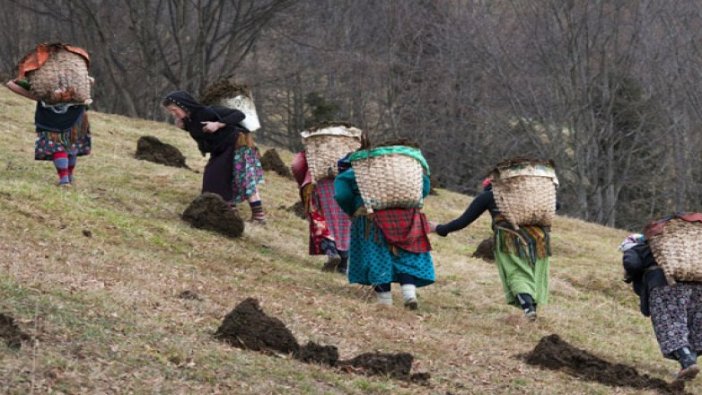 Bahar geldi, Karadenizli kadınlar işe koyuldu