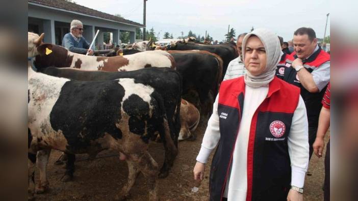 Düzce'de Kurban Bayramı öncesi hayvan sevkleri denetimi başladı
