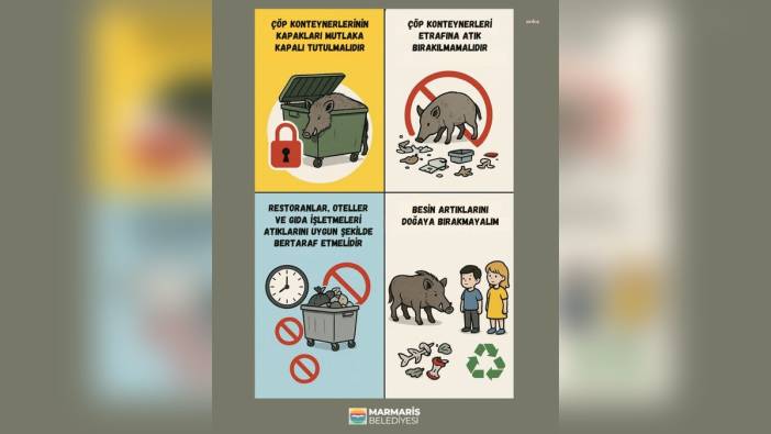 Marmaris Belediyesi'nden yaban domuzları uyarısı