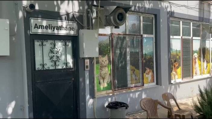 Adıyaman Belediyesi, 13 ayda bine yakın can dostun bakımını üstlendi