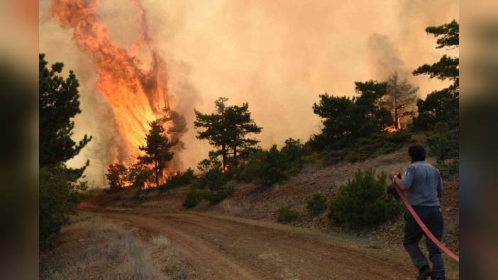 Eskişehir ve Afyonkarahisar'da ormanlık alanlara giriş 15 Haziran'dan itibaren yasaklanıyor