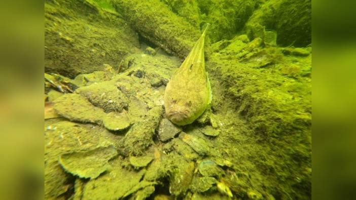Bursa Büyükşehir Belediyesi, Gemlik körfezi'nde deniz dibi temizliği gerçekleştirdi