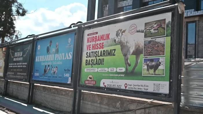 Yozgat'ta kurbanlık fiyatları yüksek, vatandaşlar yurt dışı organizasyonlarına yöneliyor