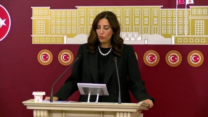 Rızvanoğlu: 2024'te 3 bin 797 orman yangını çıktı, 27 bin hektar alan kül oldu