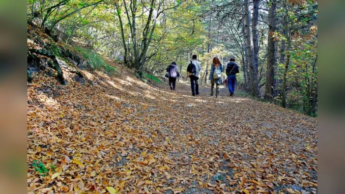 Eskişehir ve Afyonkarahisar'da 15 Haziran'dan itibaren ormanlara giriş yasağı