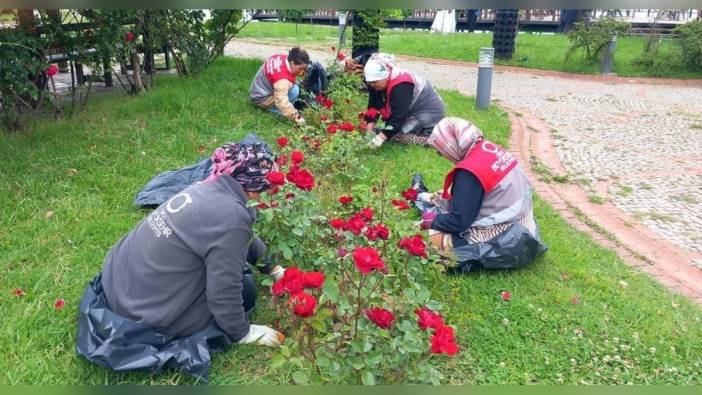 Ordu Büyükşehir Belediyesi, 445 bin yazlık çiçek dikti