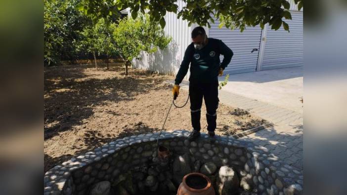 Bursa Büyükşehir Belediyesi'nden sinek ve haşereyle mücadele çalışmaları
