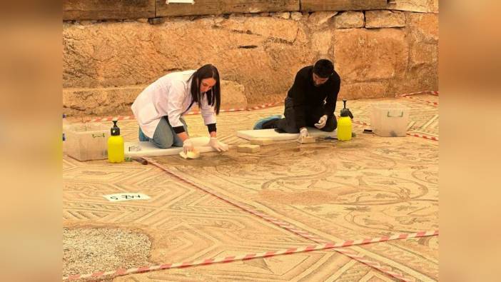 Adıyaman'da 155 metrekarelik 'cennet bahçesi' mozaiğinde restorasyon çalışması başladı