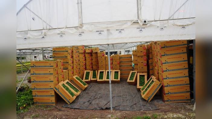 Bilecik Belediyesi'ne diğer belediyelerden destek yağdı