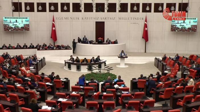 CHP'li Şevkin: Türkiye enerjide dışa bağımlı, biz AYM kararlarını yeniden geçirmekle uğraşıyoruz