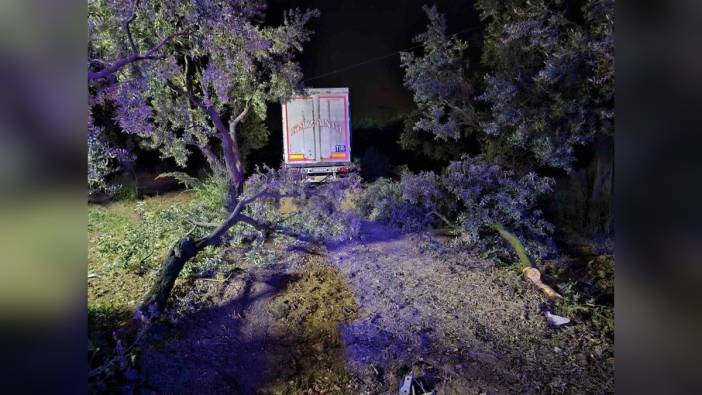 Bursa'da tırın altına alan otomobil sürücüsü hayatını kaybetti
