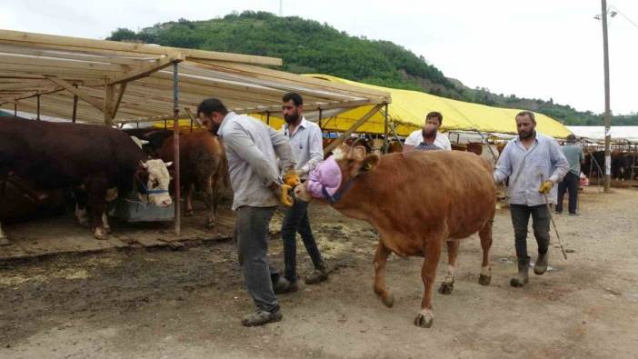 Trabzon'da kurban pazarında renkli pazarlıklar