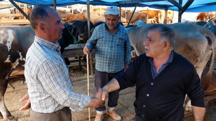 Trabzon'da kurban pazarı hareketli: 1500 hayvanın yarısı satıldı