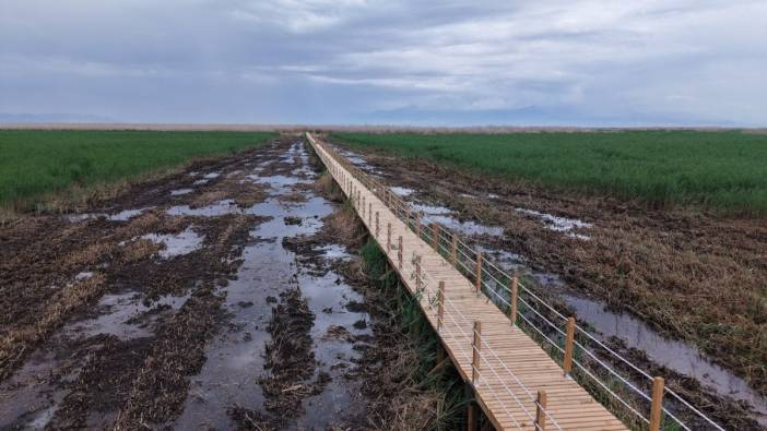 Kayseri Büyükşehir Belediyesi Sultan Sazlığı'ndaki 600 metrelik yürüyüş yolunu yeniledi