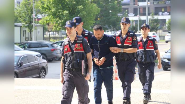 Bolu'da ormanda 6 saksı kenevir ele geçirildi