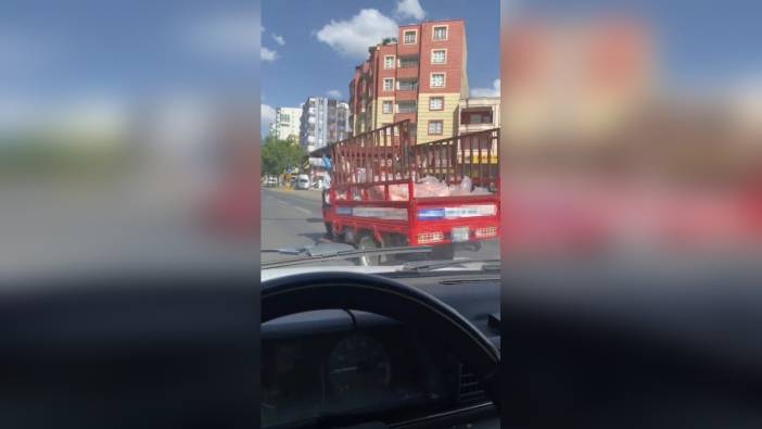 Siverek'te kavurucu sıcakta açık kasa kamyonetle et taşındı