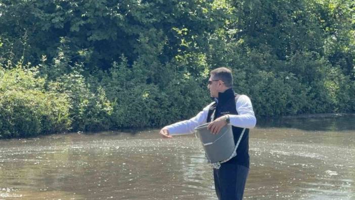 Düzce'de Konuralp pirinci ekim alanları yüzde 18 arttı