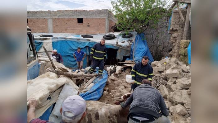 Merzifon'da ahırın tavanı çöktü: 2 büyükbaş hayvan kurtarıldı