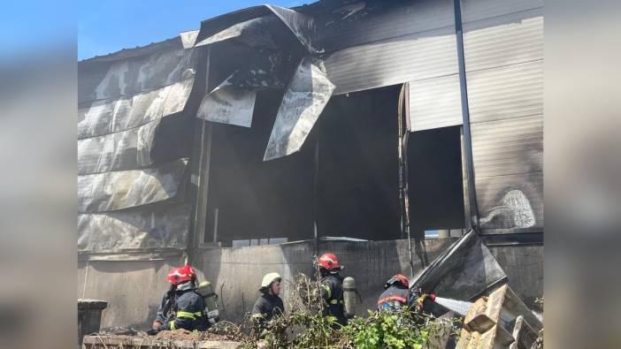 Adapazarı'nda kontrplak tesisinde yangın