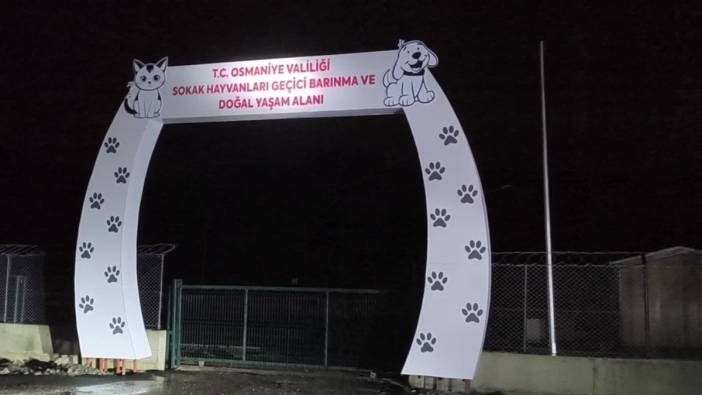 Osmaniye'de yapım aşamasındaki köpek barınağı yağmurda sular altında kaldı