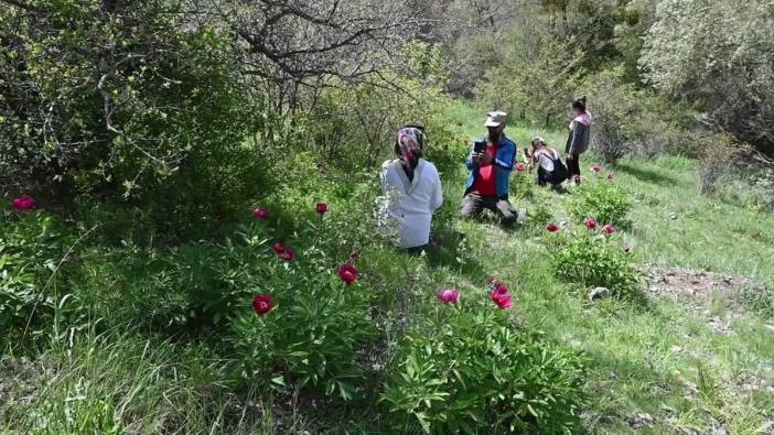 Yozgat jandarması'ndan Cehrilik lalesi'ne koruma