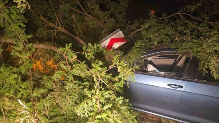 Bursa'da trafik kazası: Motosiklet sürücüsü yaralandı
