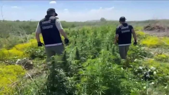 Diyarbakır'da 100 milyon lira değerinde uyuşturucu ele geçirildi