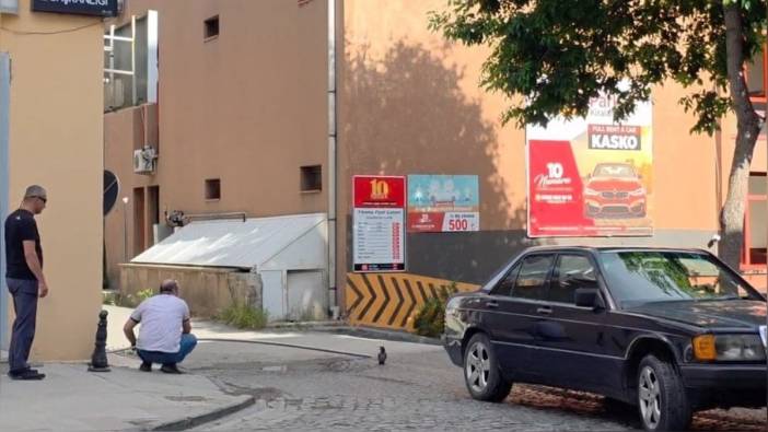 Erzincan'da yavru karga, vatandaşlar tarafından kurtarıldı