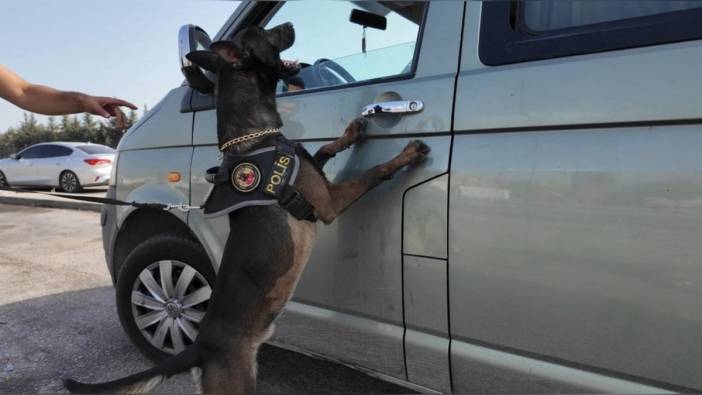 Mersin'de dron destekli operasyonda 38 bin 464 adet sentetik ecza hap ele geçirildi