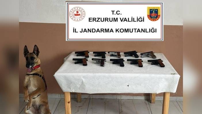 Oltu'da 10 ruhsatsız tabanca ele geçirildi