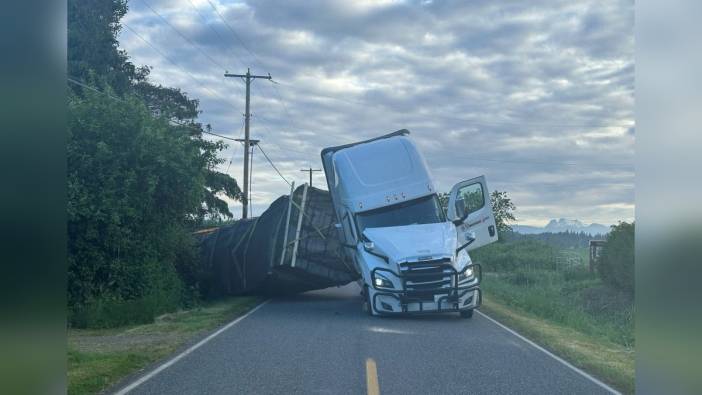 Washington'da kamyon kazası: 250 milyon arı serbest kaldı