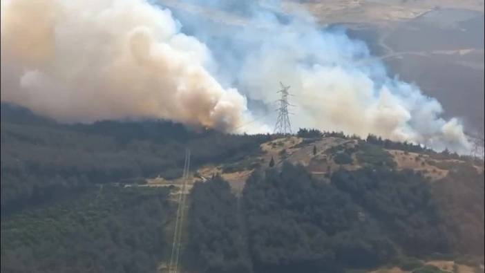 İzmir Aliağa'da orman yangınına müdahale sürüyor