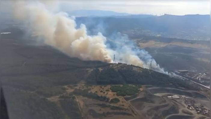 İzmir Aliağa'da orman yangını: Havadan ve karadan müdahale sürüyor