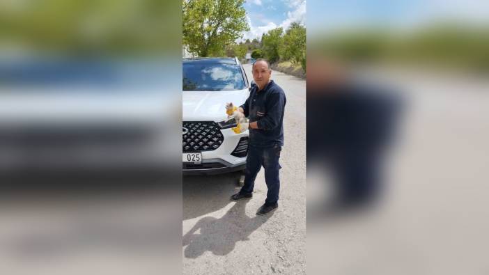 Sungurlu'da park halindeki cipte mahsur kalan kedi kurtarıldı