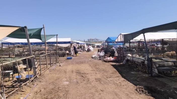 Osmaniye'de kurbanlık fiyatları emeklileri zorluyor: "Bu gidişle horoz bile kesemeyiz"