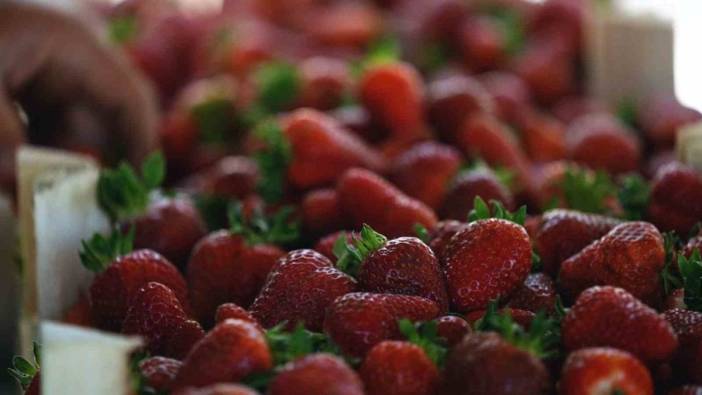 Kocaeli Büyükşehir Belediyesi'nden üreticilere yüzde 50 hibeli ekipman desteği