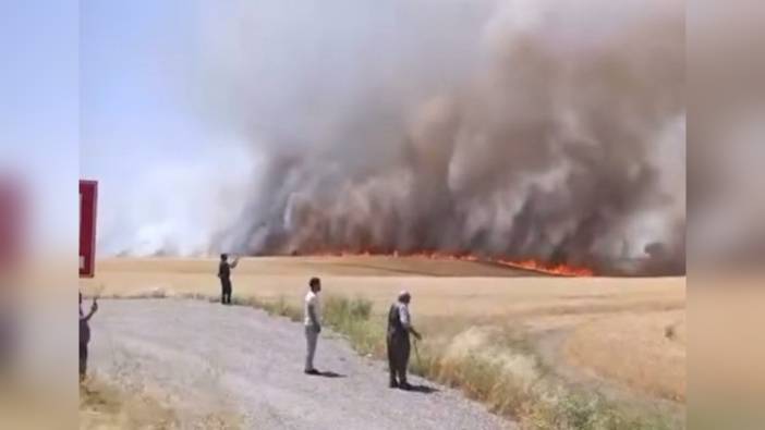 Diyarbakır'da bin dönüm buğday ve arpa kül oldu