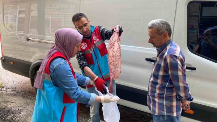 Türkeli'nde 363 kalkan balığı vatandaşlara dağıtıldı