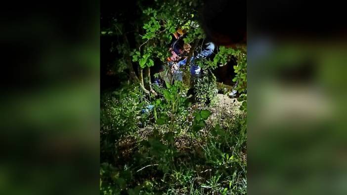 Yalova'da kayıp Mustafa Erdoğdu ormanda ölü bulundu