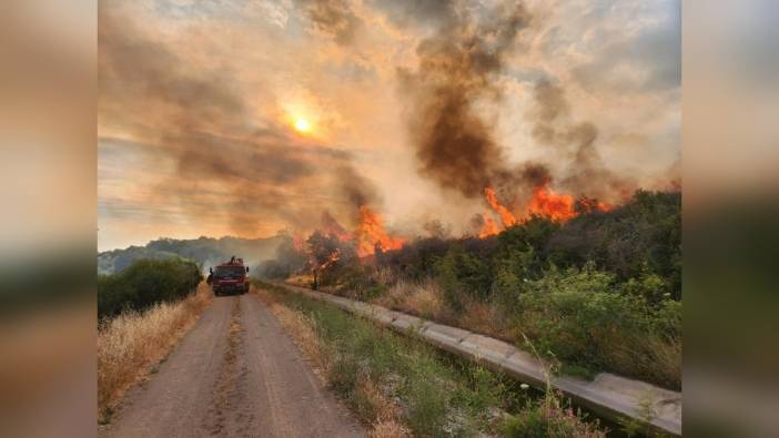 Çanakkale Ayvacık'ta otluk yangını kontrol altına alındı