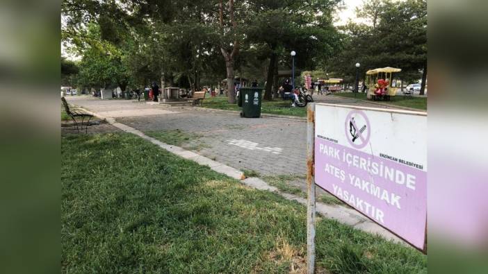 Erzincan Atatürk Parkı'nda mangal ve semaver yakanlara tepki