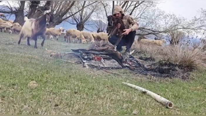 Çayırlı'da çoban Mert Yılmaz, doluya yakalanan oğlağı ateşle ısıttı