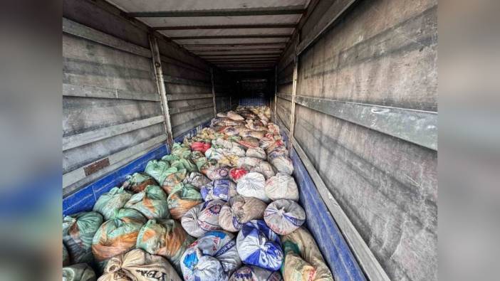 Van jandarması 22 ton kaçak inci kefali ele geçirdi