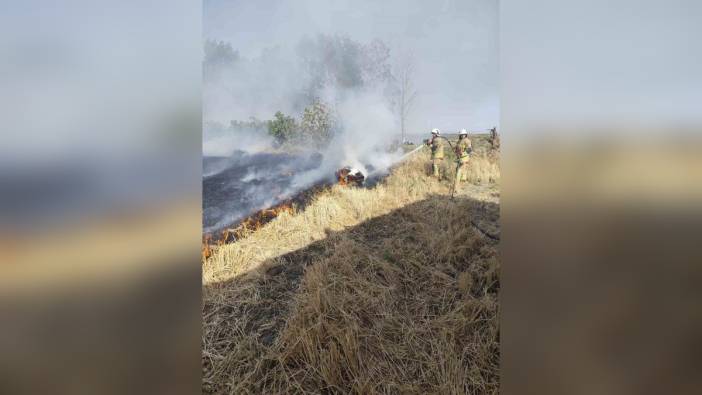 Hatay'da saman balyaları alev aldı