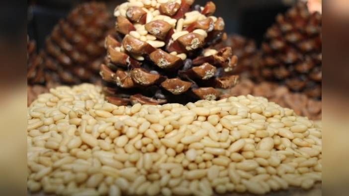 Aydın Çam Fıstığı, AB'de tescillendi